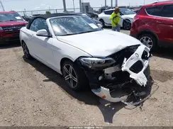 WBA2M9C5XHV717252 2017 BMW 2ER
