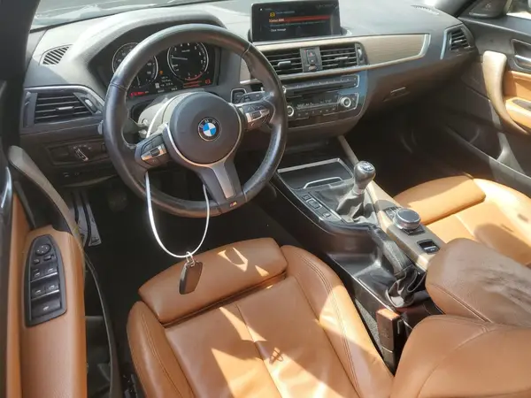 WBA2N1C51K7D19859 2019 BMW 2ER - Image 8