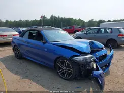 WBA2N1C52KVC28658 2019 BMW 2ER