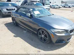 WBA2N1C55JVC28118 2018 BMW 2ER