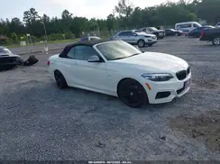 WBA2N1C5XKVC28584 2019 BMW 2ER