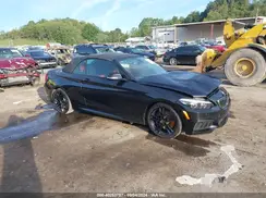 WBA2N3C01L7F33011 2020 BMW 2ER