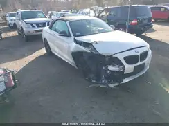 WBA2N3C02L7D99223 2020 BMW 2ER