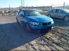 WBA2N3C03L7E74026 2020 BMW 2ER