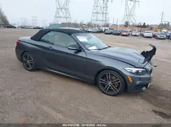 WBA2N3C03L7E99184 2020 BMW 2ER