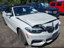 WBA2N3C51JVE45726 2018 BMW 2ER