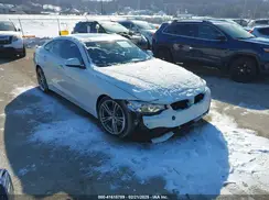 WBA4A9C50GG696366 2016 BMW 4ER