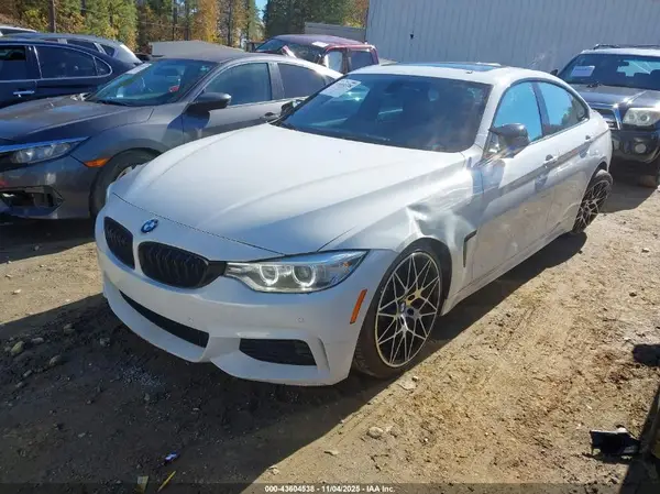 WBA4B1C50GG241905 2016 BMW 4ER - Image 2