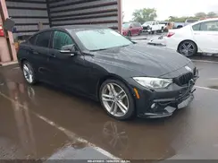 WBA4C9C50GG135885 2016 BMW 4ER