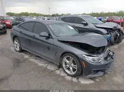 WBA4C9C57GG139254 2016 BMW 4ER