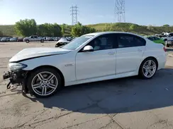 WBA5B3C55GG260630 2016 BMW 5ER