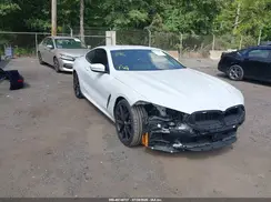 WBAAE2C06PCM89684 2023 BMW 8ER