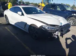 WBAAE4C04LCD25391 2020 BMW 8ER