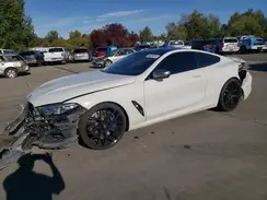 WBABC4C58KBJ35486 2019 BMW M8