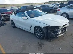 WBADZ2C01LCD26813 2020 BMW 8ER