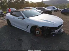 WBADZ2C04RCN79047 2024 BMW 8ER