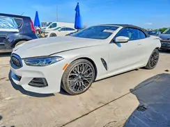 WBADZ2C08RCR21289 2024 BMW 8ER