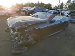 WBADZ4C05PCM43258 2023 BMW 8ER