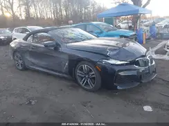 WBADZ4C07MCF60063 2021 BMW 8ER