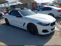 WBAFY4C09PCM60124 2023 BMW 8ER