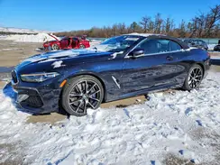WBAFY4C51KBJ99064 2019 BMW 8ER