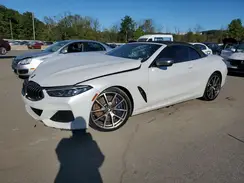 WBAFY4C55KBX39015 2019 BMW 8ER