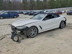 WBAFY4C58KBJ99028 2019 BMW 8ER