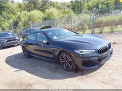 WBAGV4C04LCD10884 2020 BMW 8ER
