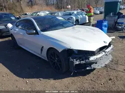 WBAGV8C00LCE56223 2020 BMW 8ER