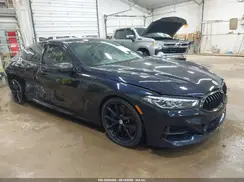 WBAGV8C02LCD68211 2020 BMW 8ER