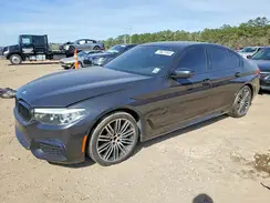 WBAJR3C01LBP95380 2020 BMW 5ER