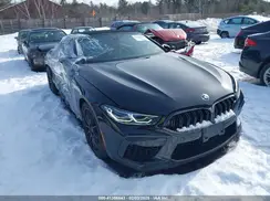 WBSDZ0C05RCN06074 2024 BMW M8