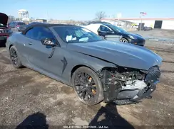 WBSDZ0C06LBM09446 2020 BMW M8