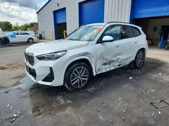 WBX73EF01S5223876 2025 BMW X1