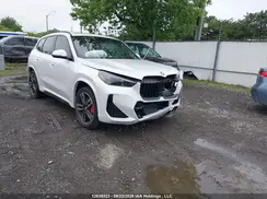 WBX73EF03S5310131 2025 BMW X1