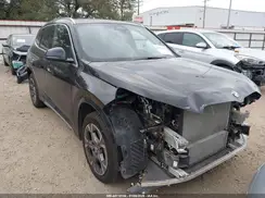 WBX73EF05S5098820 2025 BMW X1