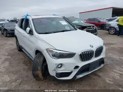 WBXHT3C51K5L90392 2019 BMW X1
