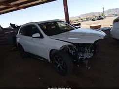 WBXHU7C51K5N23043 2019 BMW X1