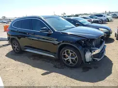WBXHU7C56K3H44216 2019 BMW X1