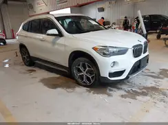 WBXHU7C59K3H45229 2019 BMW X1