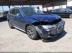 WBXJG7C06L5P43924 2020 BMW X1