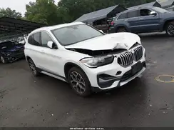 WBXJG9C00L5P84979 2020 BMW X1