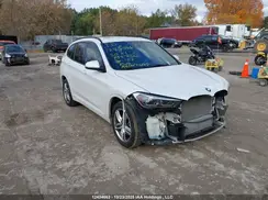 WBXJG9C01L5P55264 2020 BMW X1