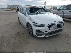 WBXJG9C01M5S87229 2021 BMW X1