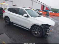 WBXJG9C03L5P45142 2020 BMW X1