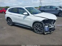 WBXJG9C03L5R95481 2020 BMW X1