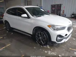 WBXJG9C04L5P89599 2020 BMW X1