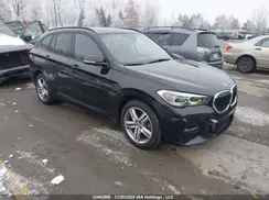 WBXJG9C04L5R01186 2020 BMW X1
