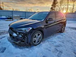WBXJG9C05L5P50407 2020 BMW X1