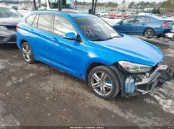 WBXJG9C06M5T32097 2021 BMW X1